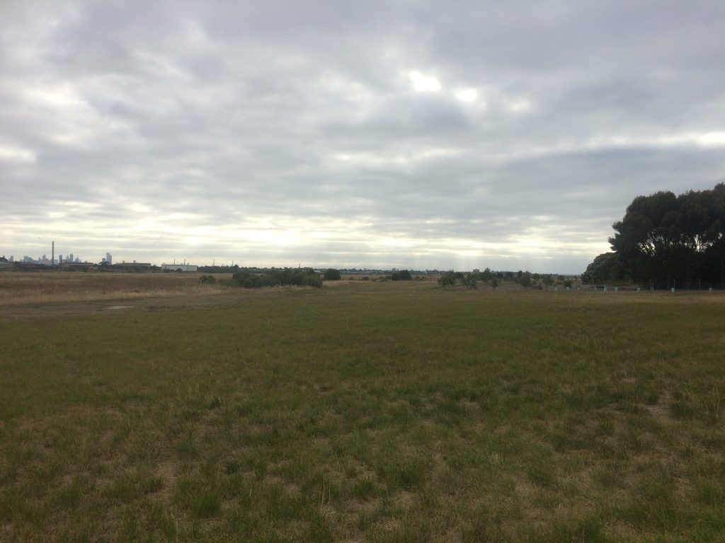 A photo of a field with low lying grass. Some trees on the right hand side. The left hand side has no buildings or trees for miles, you can see the Melbourne CBD in the distant background, it looks tiny.