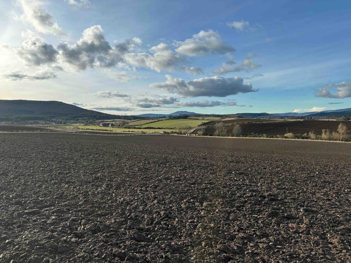 A photo of a ploughed field with no life in it yet. Blue sky, greenand a town in the background, but mostly just a rocky lifeless field.